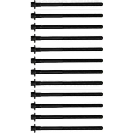 14-32379-01 Reinz Болт ГБЦ