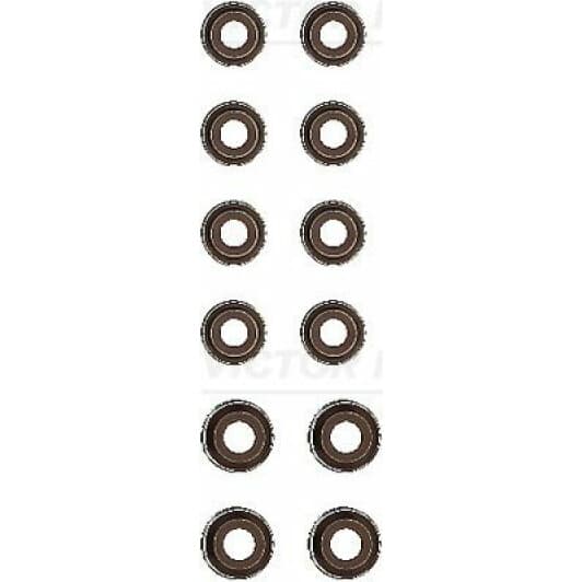 12-52748-02 Reinz Комплект сальников клапанов