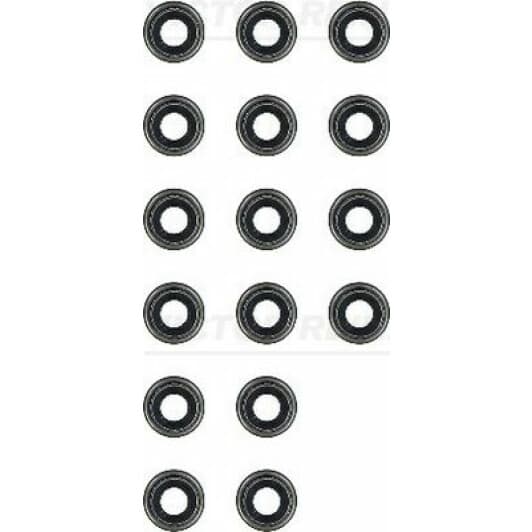 12-52829-02 Reinz Комплект сальників клапанів