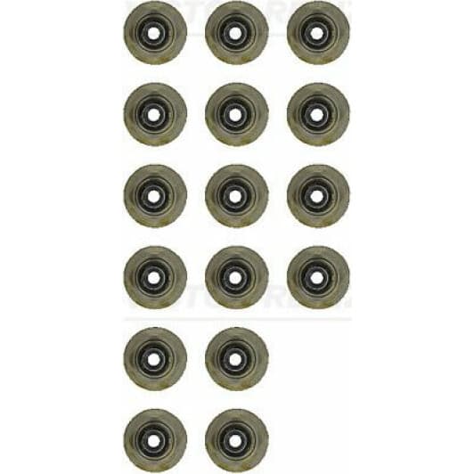 12-52914-01 Reinz Комплект сальників клапанів