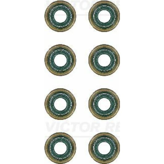 12-27236-01 Reinz Комплект сальників клапанів