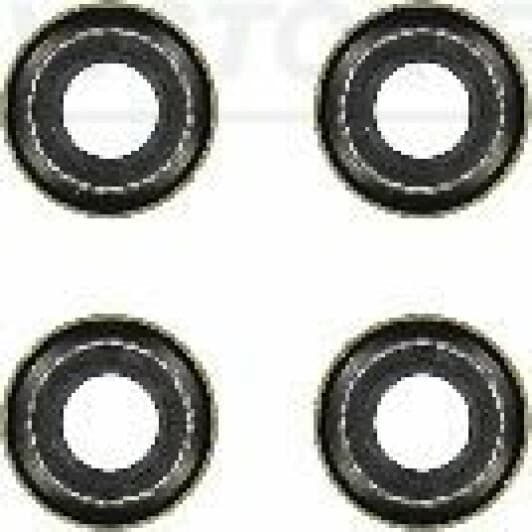12-24491-01 Reinz Комплект сальников клапанов