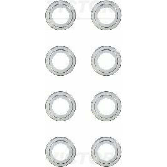 12-23062-01 Reinz Комплект сальников клапанов