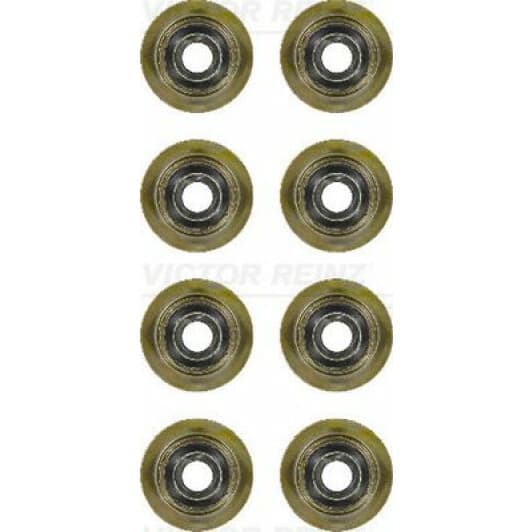 12-35893-01 Reinz Комплект сальників клапанів