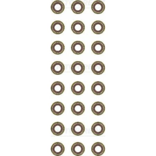 12-37804-01 Reinz Комплект сальников клапанов