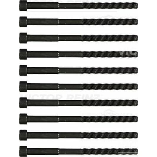 14-55033-01 Reinz Болт ГБЦ