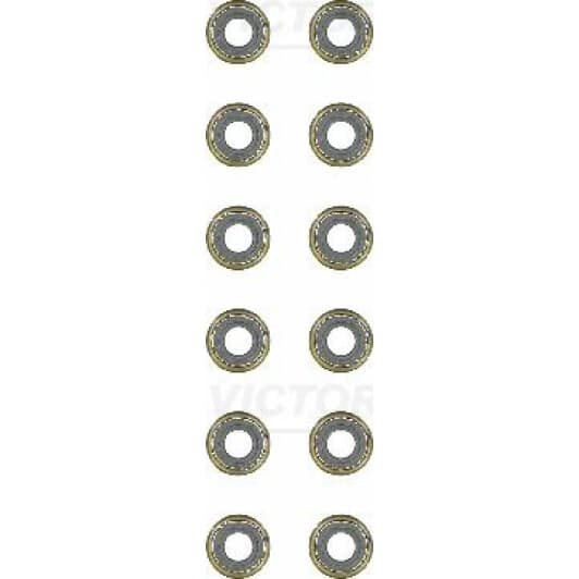 12-39357-01 Reinz Комплект сальників клапанів