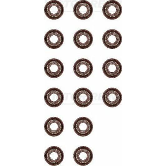 12-52811-01 Reinz Комплект сальников клапанов