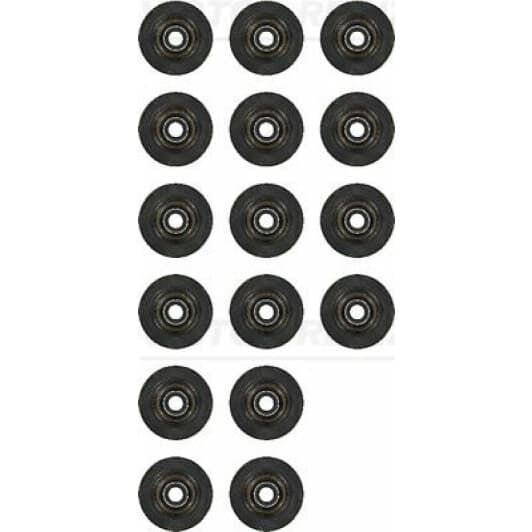 12-10437-02 Reinz Комплект сальников клапанов