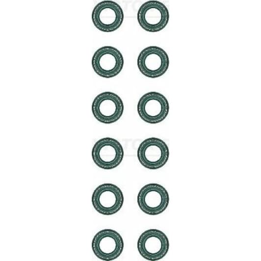 12-31052-01 Reinz Комплект сальників клапанів