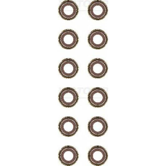 12-38487-01 Reinz Комплект сальників клапанів