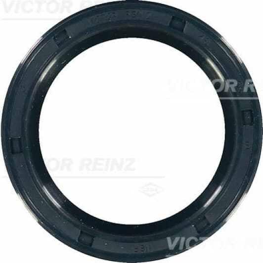 81-17404-00 Reinz Сальник коленвала