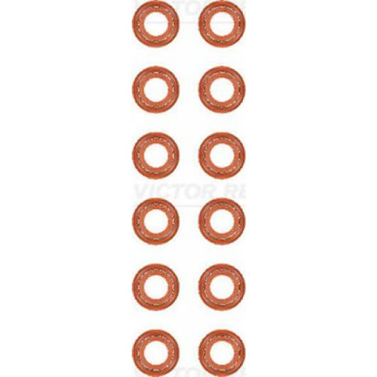 12-40218-01 Reinz Комплект сальників клапанів