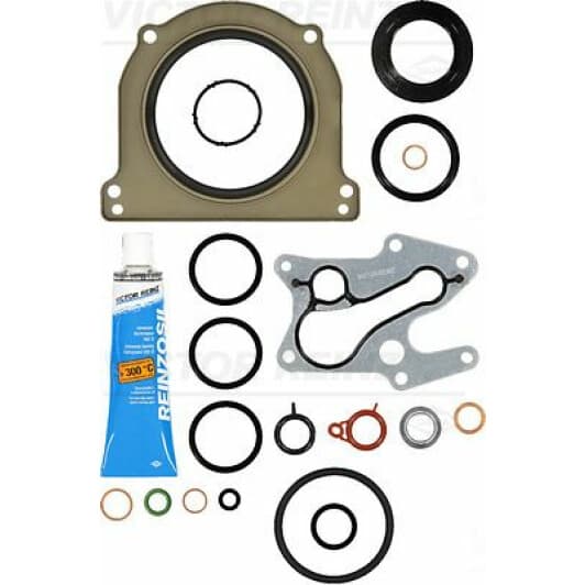 081001801 Reinz Комплект прокладок блока двигуна