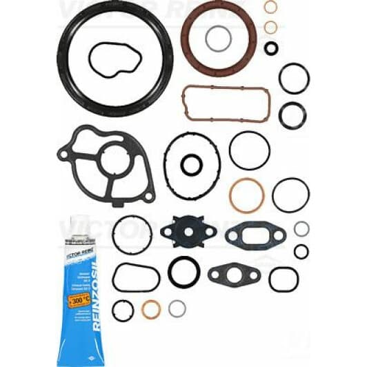 081002301 Reinz Комплект прокладок блока двигателя