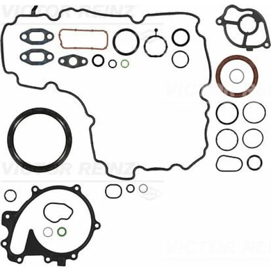 081077101 Reinz Комплект прокладок блока двигателя