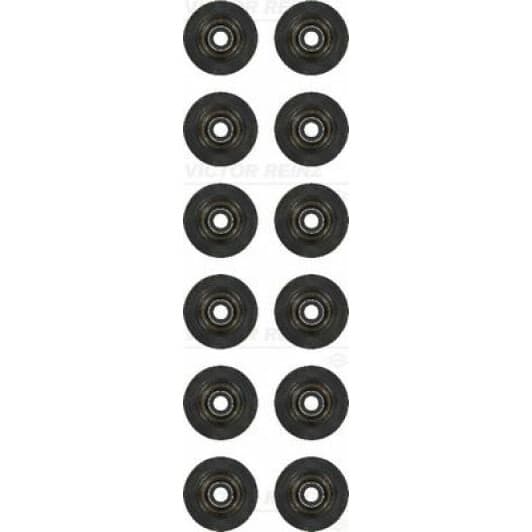 12-10437-01 Reinz Комплект сальників клапанів