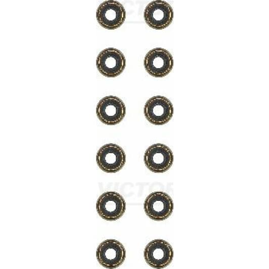 12-42742-01 Reinz Комплект сальників клапанів