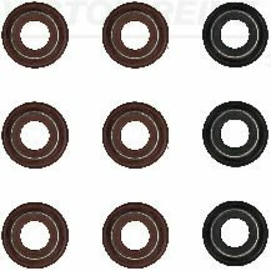 12-53043-02 Reinz Комплект сальників клапанів