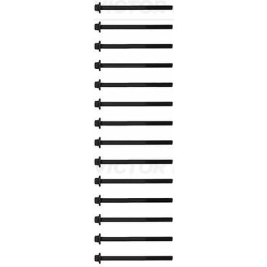 141001701 Reinz Болт ГБЦ