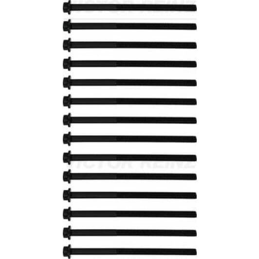 141087501 Reinz Болт ГБЦ