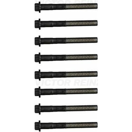 14-55099-01 Reinz Болт ГБЦ