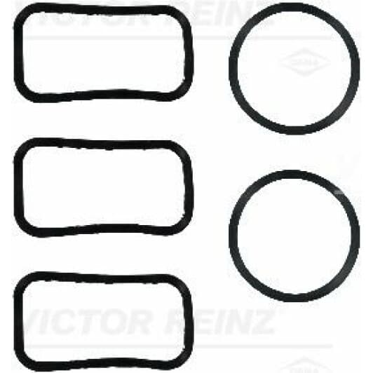 151005101 Reinz Комплект прокладок клапанной крышки