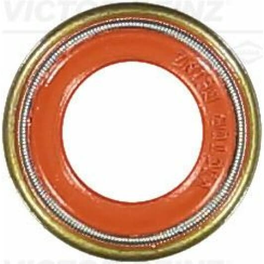 70-36004-10 Reinz Сальник клапана