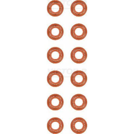 12-40217-01 Reinz Комплект сальников клапанов