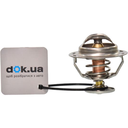 RD1517513083 Rider Термостат