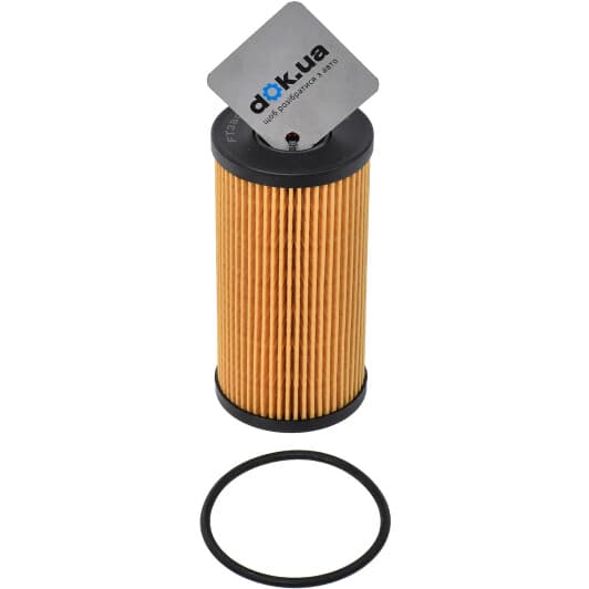 FT38095 Fast Масляный фильтр