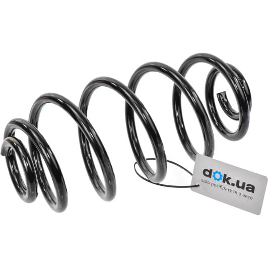 1252204200 JP Group Пружина подвески