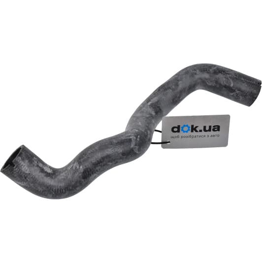 DWX017TT Thermotec Патрубок радіатора системи охолодження двигуна