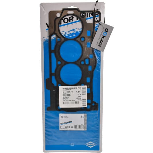 61-10098-00 Reinz Прокладка ГБЦ