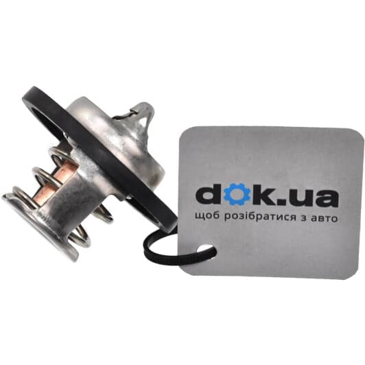 RD1517489892 Rider Термостат