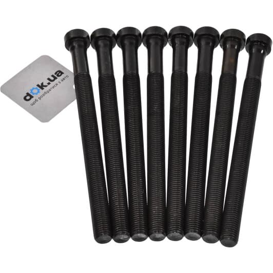 14-32196-01 Reinz Болт ГБЦ