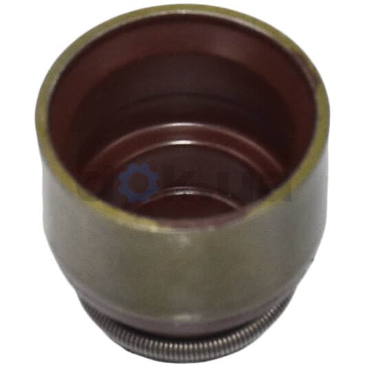 70-52748-10 Reinz Сальник клапана