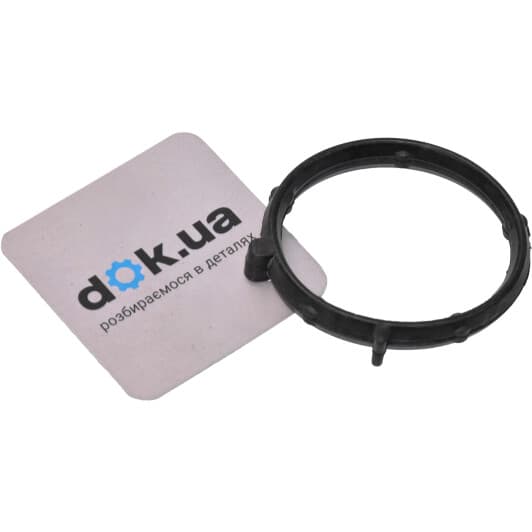 71-35681-00 Reinz Прокладка впускного коллектора