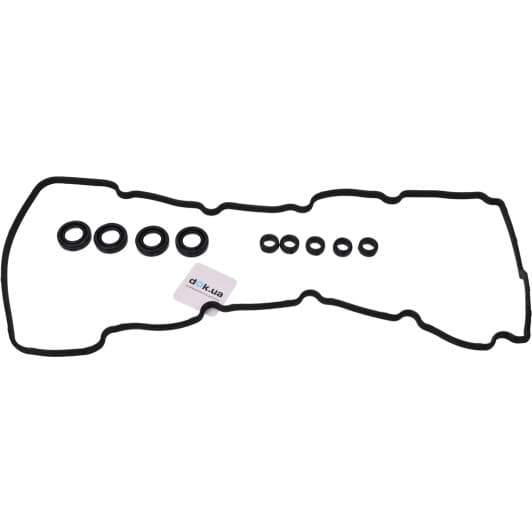 15-10019-01 Reinz Комплект прокладок клапанной крышки