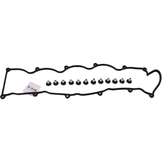 15-52993-01 Reinz Комплект прокладок клапанной крышки