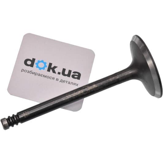 11090177601 Vika Впускной клапан