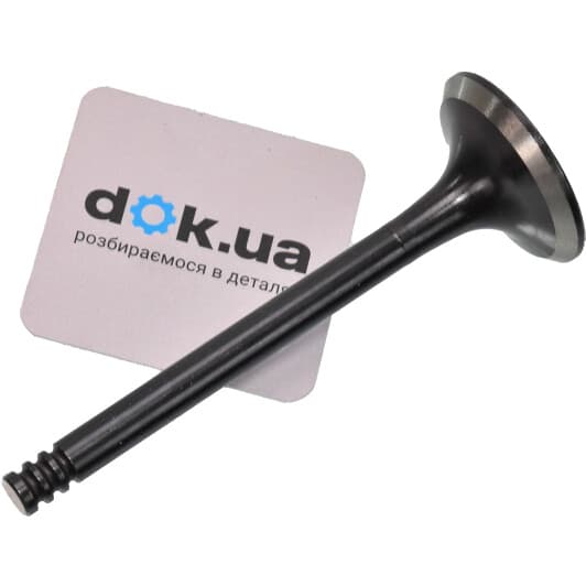 11090213701 Vika Выпускной клапан