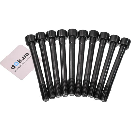 14-55096-01 Reinz Болт ГБЦ