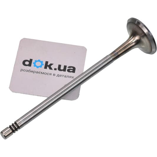 R6203/SCR Freccia Впускний клапан