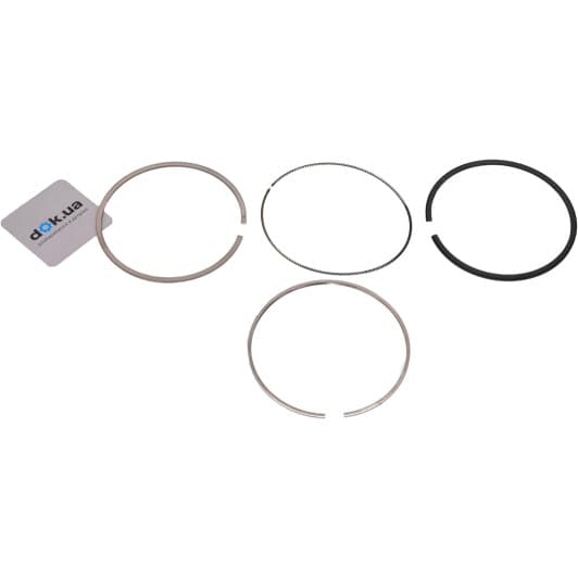 b19038 Borsehung Комплект поршневых колец