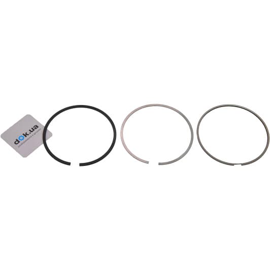 b19051 Borsehung Комплект поршневых колец