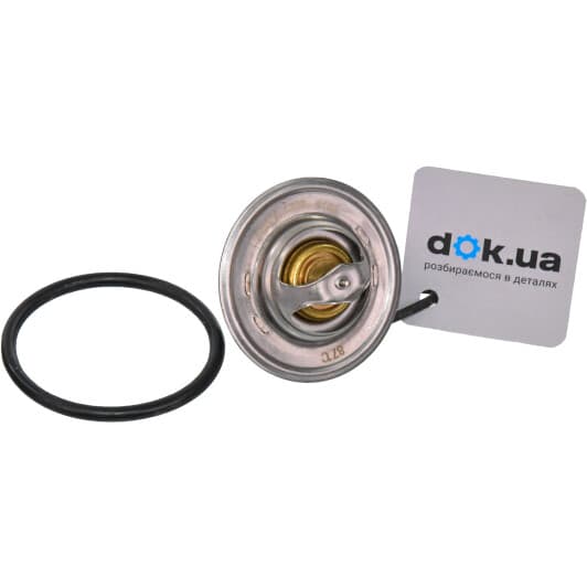 73355 Asam Термостат