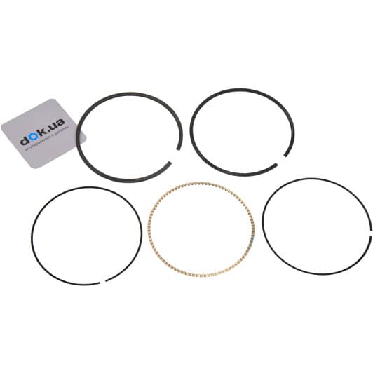 640 RS 10102 0N0 Mahle Комплект поршневих кілець