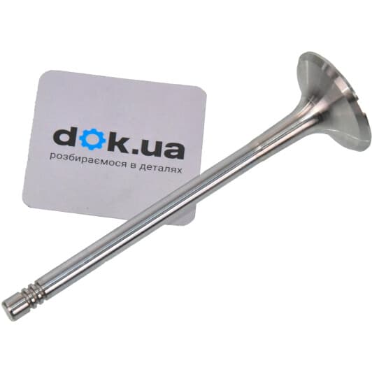 b19009 Borsehung Выпускной клапан