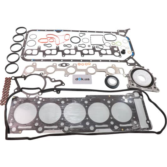 01-35160-01 Reinz Комплект прокладок повний
